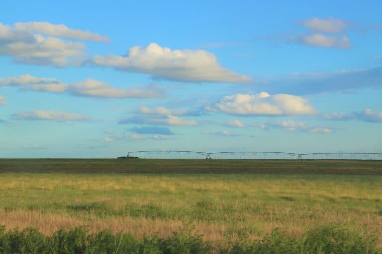 Ett stort åkerfält med en bevattningsspridare och blå himmel med några moln.